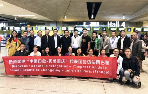 泓艺九洲“中国印象·秀美重庆”文化交流活动在巴黎圆满落幕